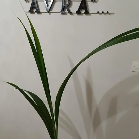 Guest house αυρα ενοικιαζόμενα - Avra To Let *